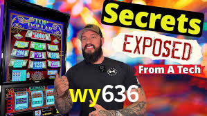 Reload Bonus wy636